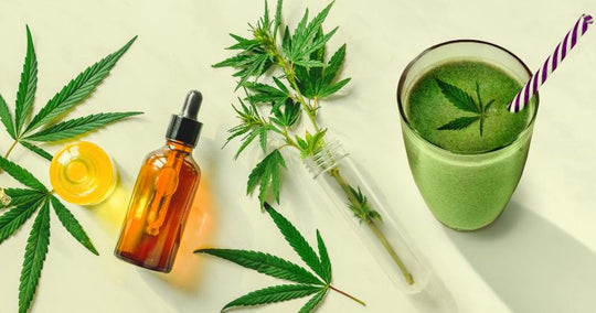 What Are the Hottest CBD Categories for 2022? - Winsight Grocery Business